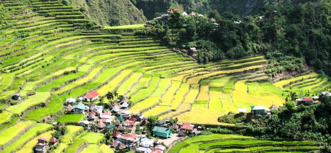 Abenteuer Nord-Luzon: Entdeckungsreise durch das Herz der Philippinen
