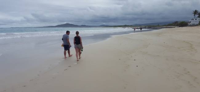 Galápagos Inselhüpfen – Santa Cruz & Isabela