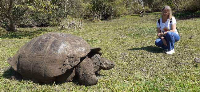 Galápagos Inselhüpfen – Santa Cruz & Isabela