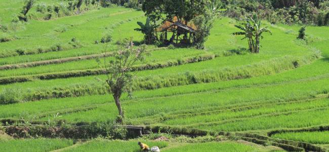 Bali, Lombok & Gili-Inseln – Kultur, Natur & Inselträume in 12 Tagen