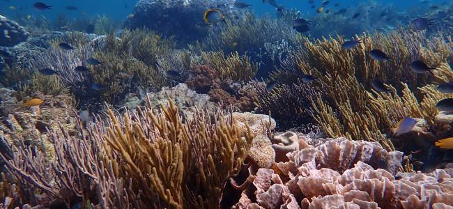 Adventure Escape Bali – Taucherlebnis mit Absolute Scuba Bali