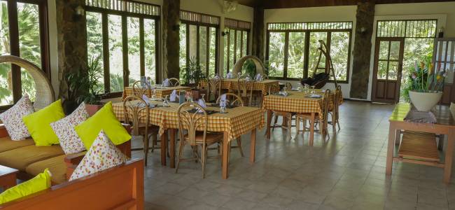 Black Sand Dive Retreat – Makro-Tauchen in der Lembeh Strait