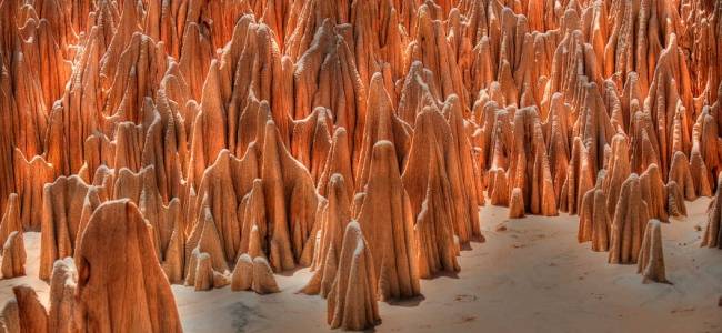 Madagaskar intensiv – Nationalparks, Lemuren & Inselträume auf Nosy Be