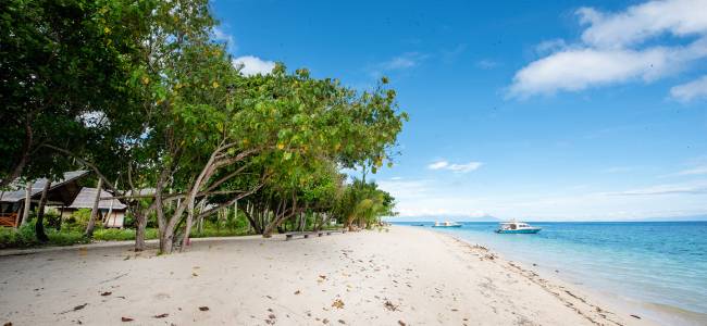 Metita Beach & Dive Resort – Tauchparadies Morotai (Indonesien)