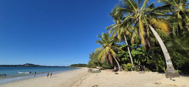 Madagaskar - Regenwald & Inselparadies Nosy Be