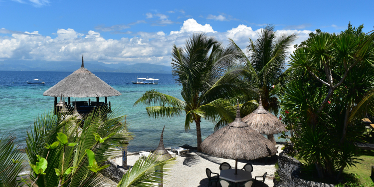 Dolphin House Resort SPA Diving