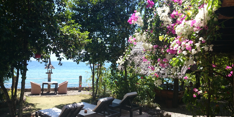 Dolphin House Resort SPA Diving