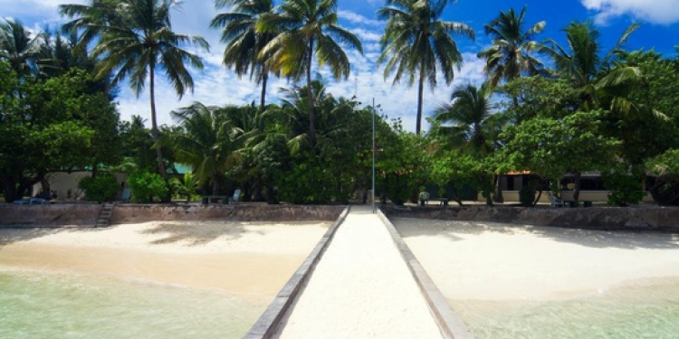 Equator Village