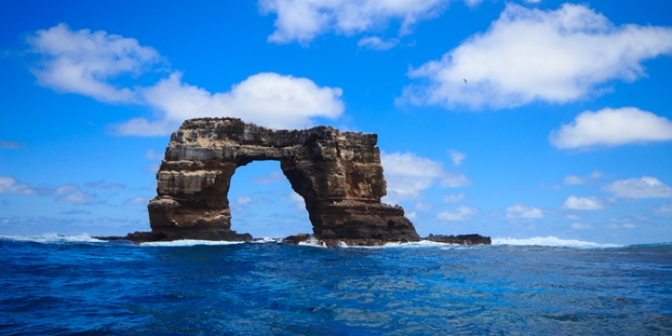 Galapagos-Tauchkreuzfahrt mit Stil – Aqua Galapagos