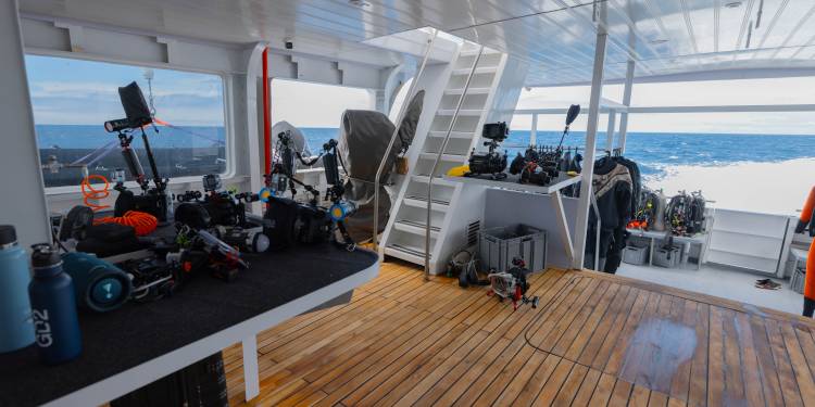 Galaxy Divers II – Tauchsafari auf den Galapagosinseln