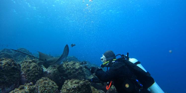Galaxy Divers II – Tauchsafari auf den Galapagosinseln