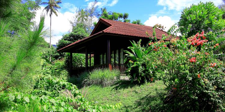 Black Sand Dive Retreat