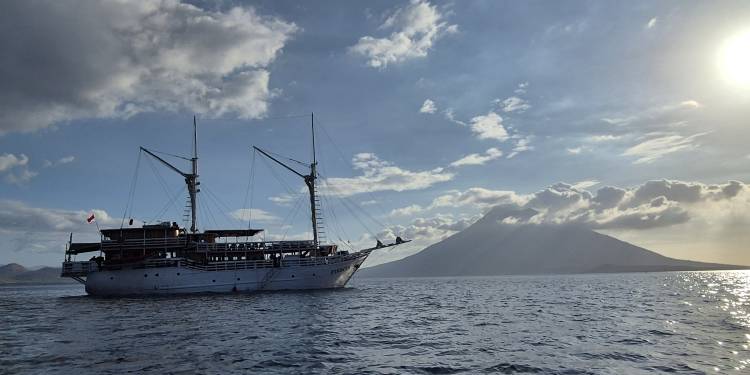 MSY Pindito - Indonesien