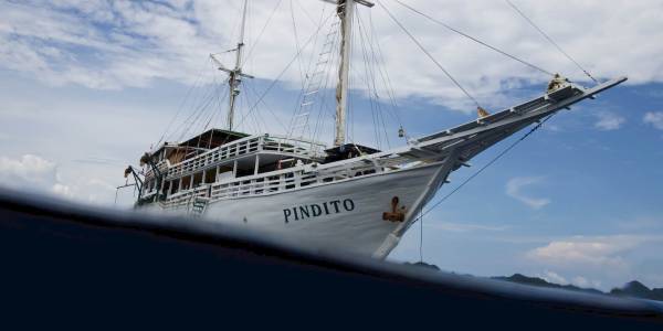 MSY Pindito - Indonesien