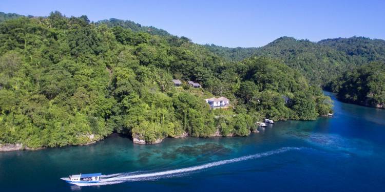 Lembeh Resort & Critters @ Lembeh Dive Center